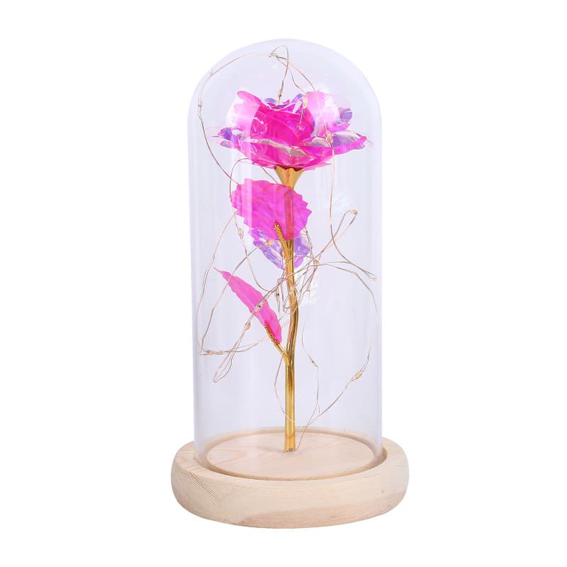 Preserved Flower Glass Dome detail 4